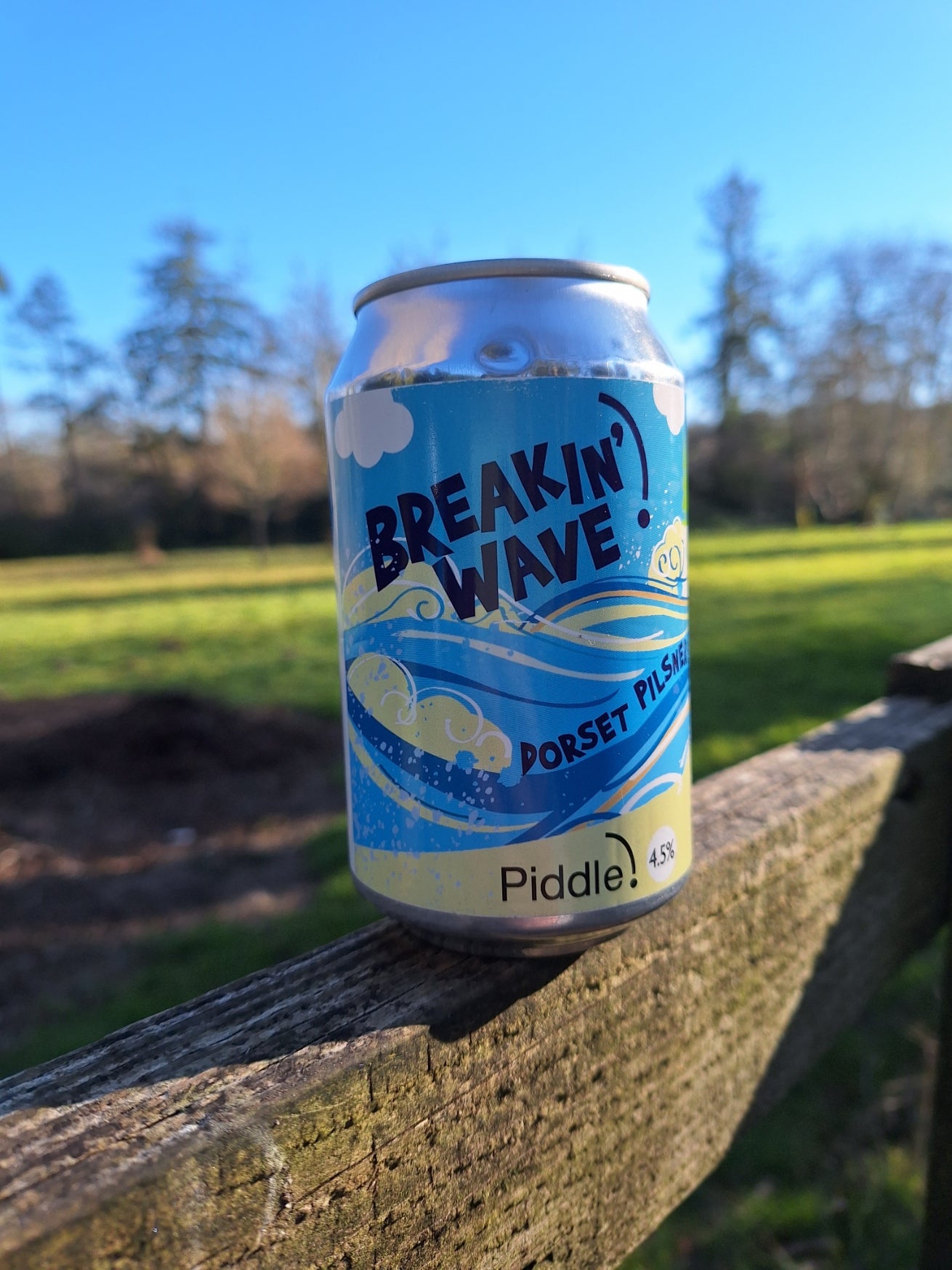 Piddle Brewery: Case of Breakin Wave (330ml can)