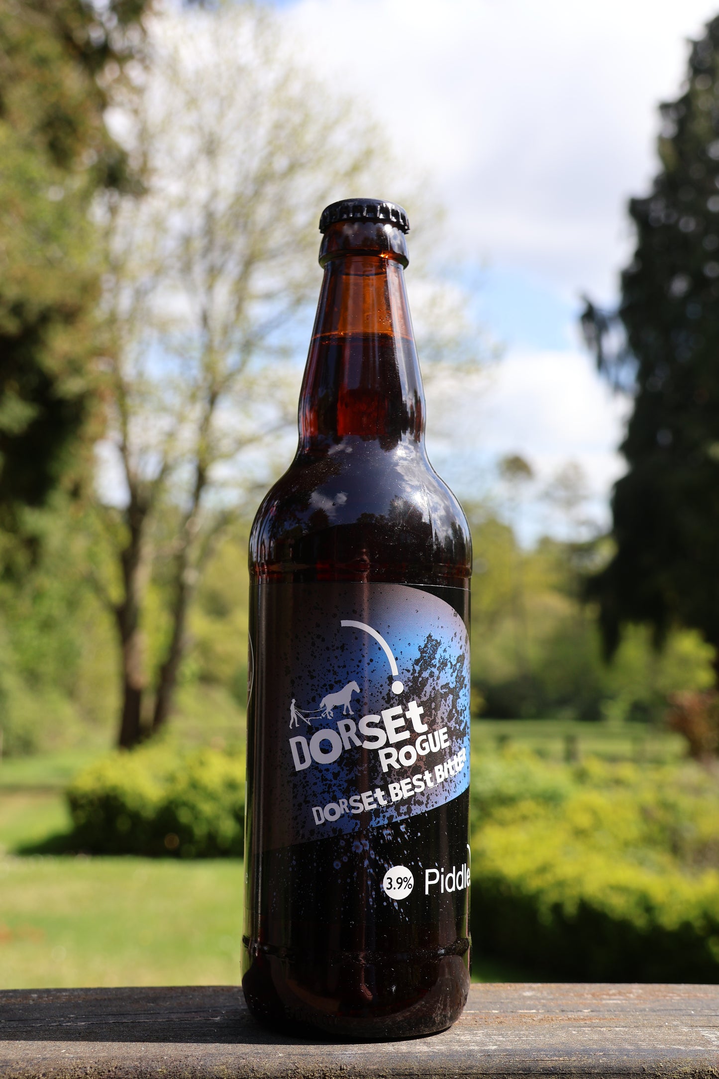 Case of Dorset Rogue